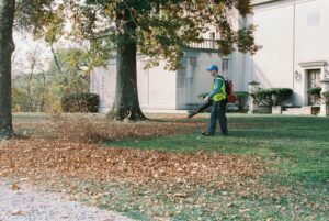 fall cleanup