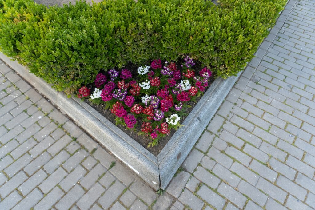 flower beds for beginners
