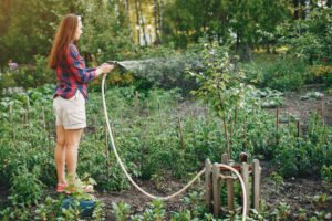 Overwatering in Landscaping: Signs, Risks, and How to Fix It the Right Way