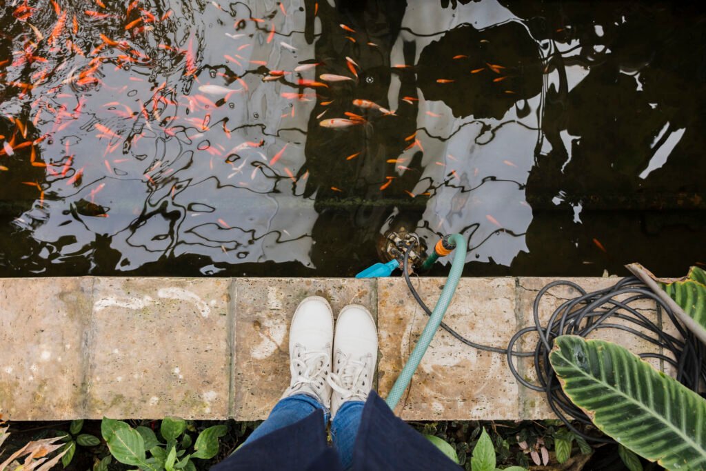 Underwatering in Landscaping: Signs, Causes, and How to Save Your Plants