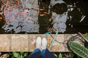 Underwatering in Landscaping: Signs, Causes, and How to Save Your Plants