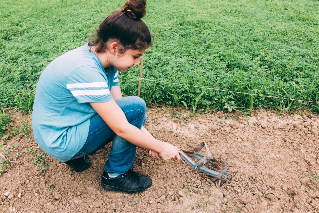 Improper Grading in Landscaping: Causes, Signs, and How to Fix It Effectively