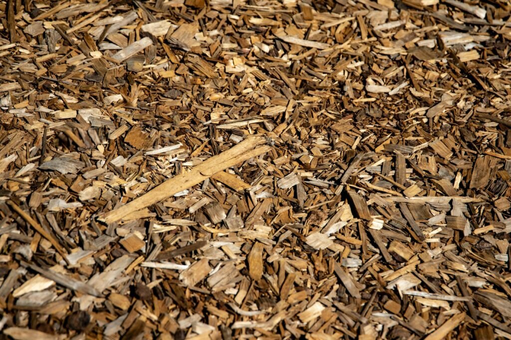 How Deep Should Mulch Be Applied: A Simple Guide for Healthier Plants and Better Soil