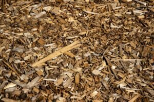 How Deep Should Mulch Be Applied: A Simple Guide for Healthier Plants and Better Soil