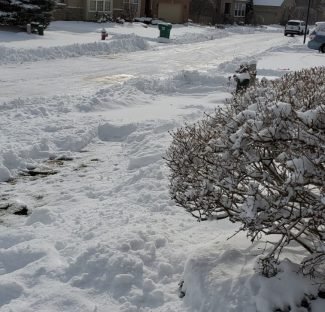 Imagen de WhatsApp 2025-09-29 a las 09.36.22_7a96f692